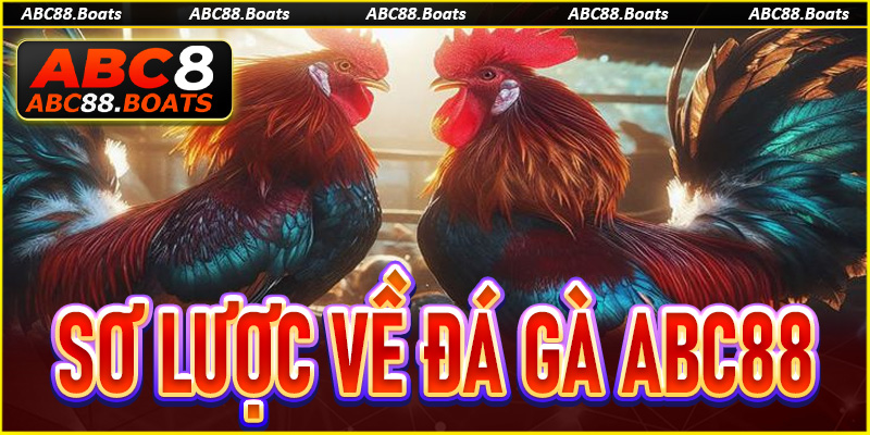 Tổng quan sơ lược về sảnh game đá gà ABC88