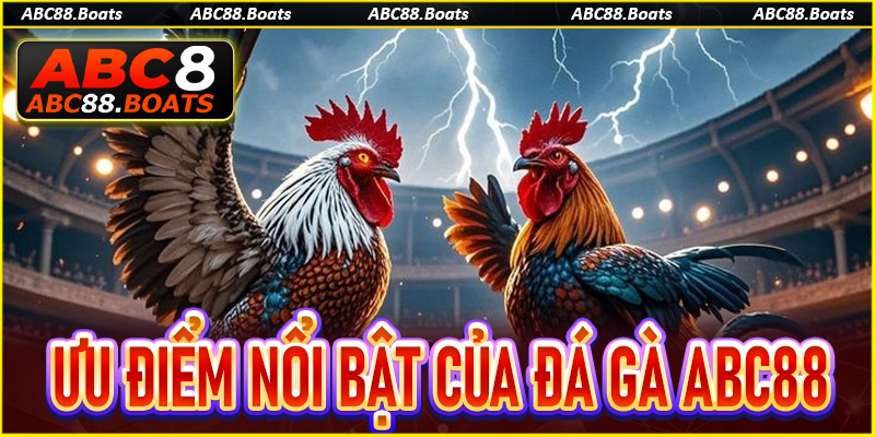 Những ưu điểm nổi bật của sảnh game đá gà ABC88