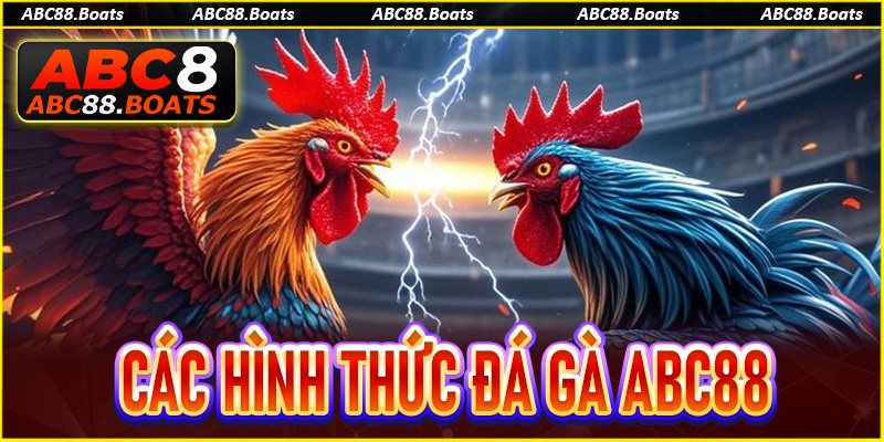Tổng hợp các hình thức đá gà ABC88 phổ biến và hấp dẫn