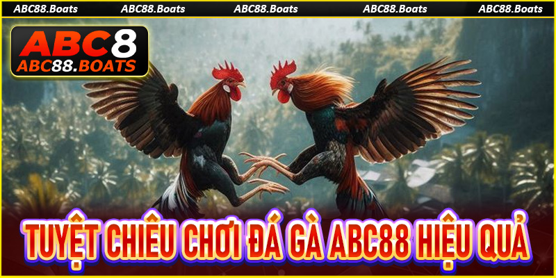 Bật mí tuyệt chiêu chơi đá gà ABC88 hiệu quả